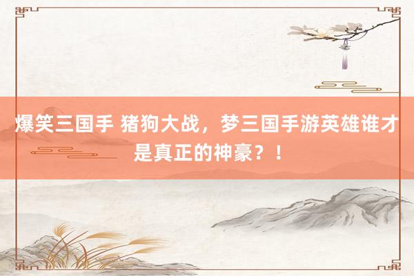 爆笑三国手 猪狗大战，梦三国手游英雄谁才是真正的神豪？！